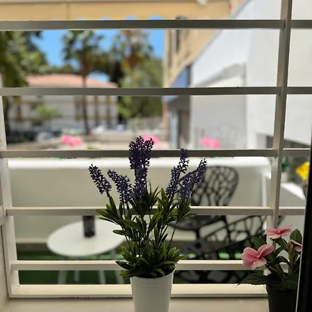 Apartment Cascada Magnificent Recently Refurbished In Center - Eaw Homes *